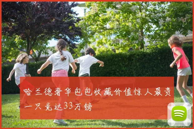 哈兰德奢华包包收藏价值惊人最贵一只竟达33万镑