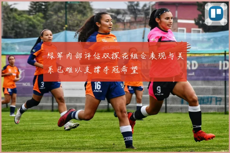 绿军内部评估双探花组合表现与关系已难以支撑夺冠希望