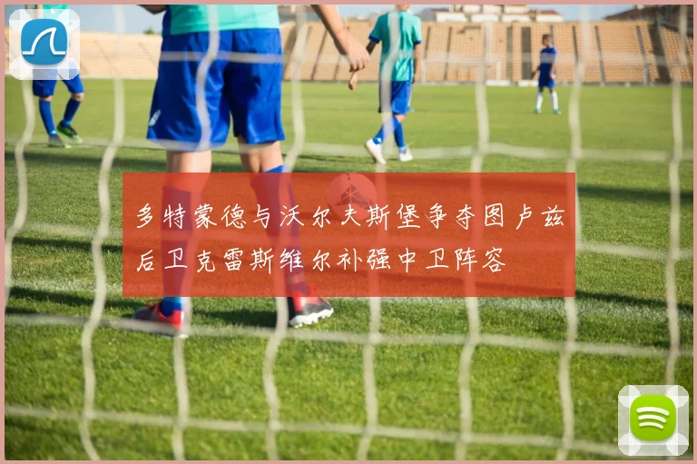多特蒙德与沃尔夫斯堡争夺图卢兹后卫克雷斯维尔补强中卫阵容