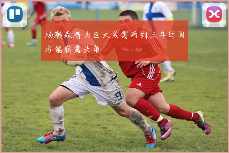 杨瀚森潜力巨大或需两到三年时间方能崭露头角